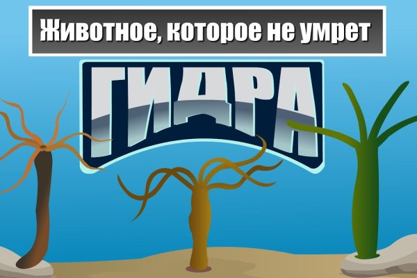 Как зайти на кракен без тора