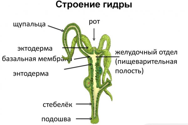 Кракен наркошоп сайт